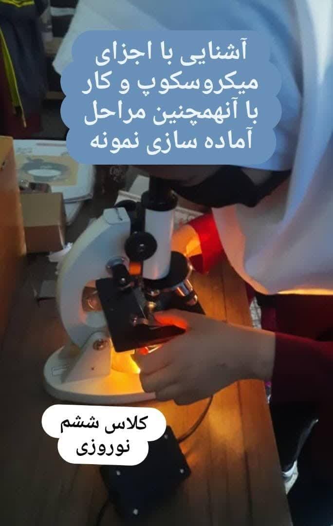 آشنایی با اجزای میکروسکوپ و کار با آن